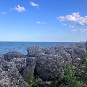 Meet your Posher, Izzy